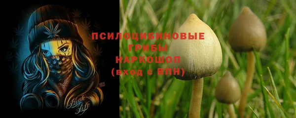ешки Вяземский