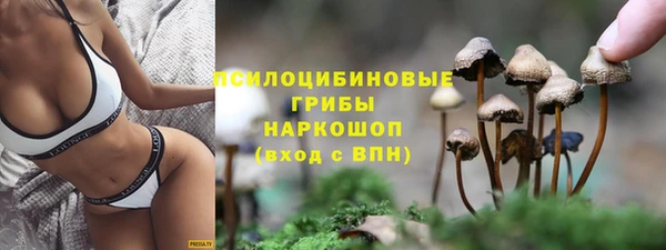прущие крисы Сосновый Бор