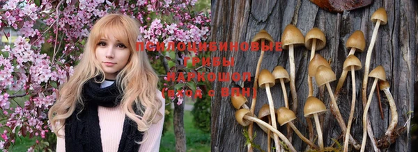 ешки Вяземский